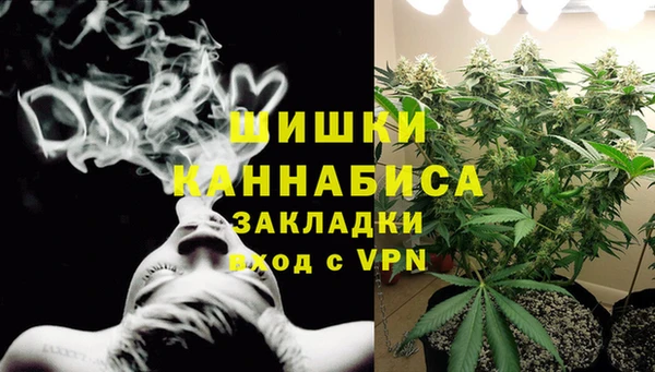 спайс Няндома