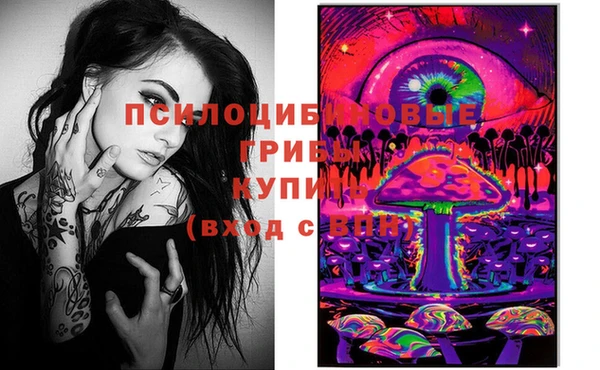 прущая мука Алзамай